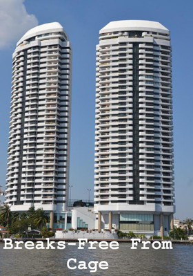 Breaks-Free From Cage