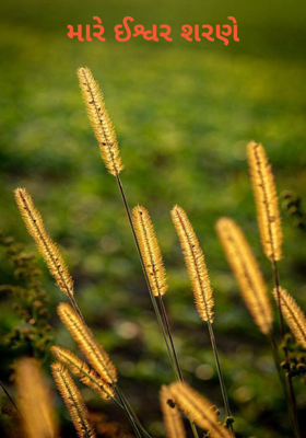 મારે ઈશ્વર શરણે