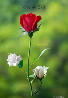 प्यार से देख