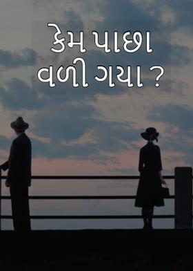 કેમ પાછા વળી ગયા ?