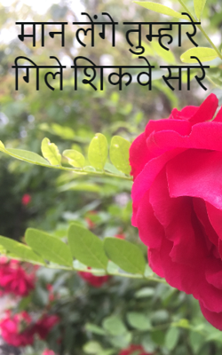 मान लेंगे तुम्हारे गिले शिकवे सारे