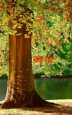 स्वच्छ भारत