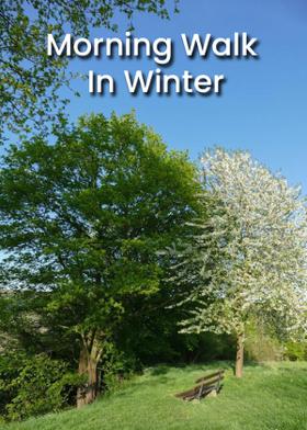 Morning Walk In Winter