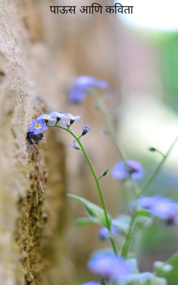 पाऊस आणि कविता