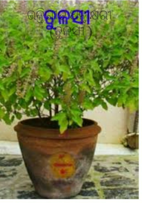 ଭକ୍ତିଗୀତ ଅନ୍ତାକ୍ଷରୀ (ତୁଳସୀ )