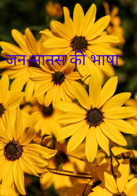 जन-मानस की भाषा