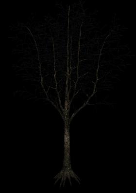 ઋતુચક્ર