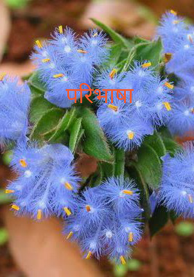 परिभाषा