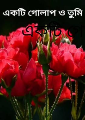 একটি গোলাপ ও তুমি