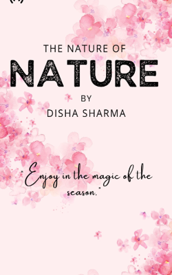 The Nature Of Nature