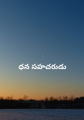 ధన సహచరుడు