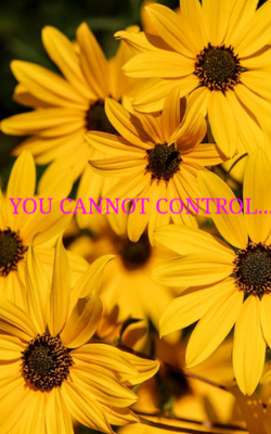 You Cannot Control....