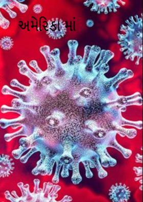 અમેરિકામાં