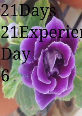 21 Days 21 Experiences - Day 6