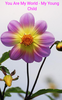 You Are My World - My Young Child