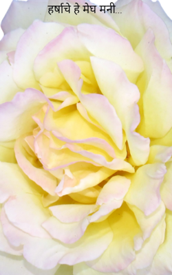 हर्षाचे हे मेघ मनी...