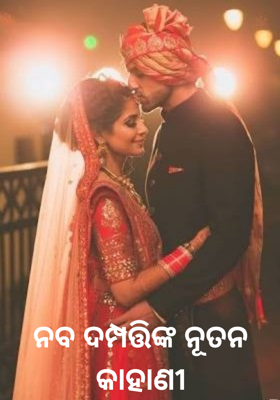 ନବ ଦମ୍ପତ୍ତିଙ୍କ ନୂତନ କାହାଣୀ