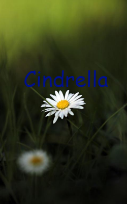 Cindrella