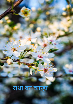 राधा का कान्हा