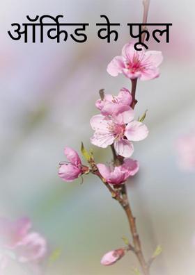 ऑर्किड के फूल