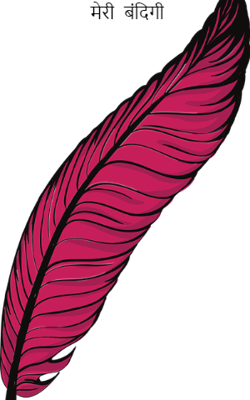 मेरी  बंदिगी