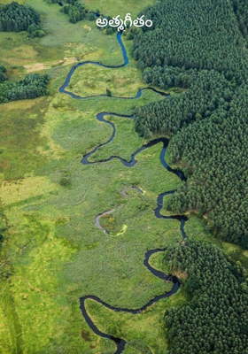 ఆత్మగీతం