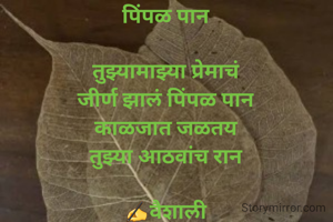 पिंपळ पान

तुझ्यामाझ्या प्रेमाचं
जीर्ण झालं पिंपळ पान
काळजात जळतय
तुझ्या आठवांच रान

✍️वैशाली