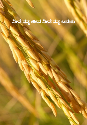 ನೀನೆ ನನ್ನ ಜೀವ ನೀನೆ ನನ್ನ ಬದುಕು 