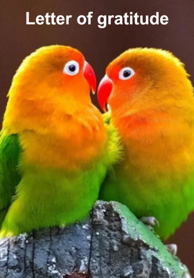 Letter of gratitude
