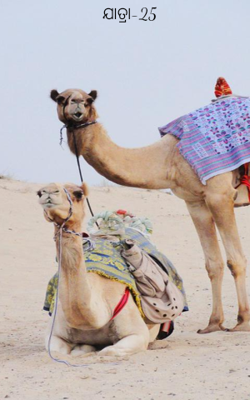 ଯାତ୍ରା-25