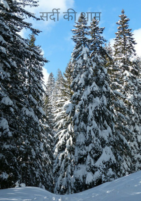 सर्दी की शाम