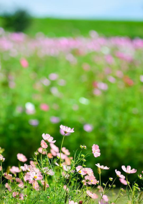 શુભારંભ - ૫