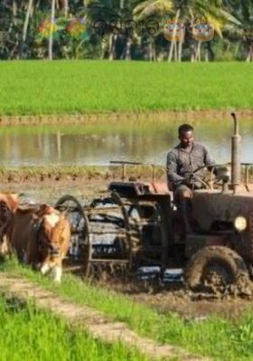 କୄଷିନୀତି