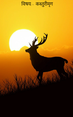 कस्तुरीमृग