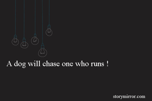 A dog will chase one who runs !