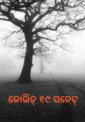 କୋଭିଡ୍ ୧୯ ସନେଟ୍