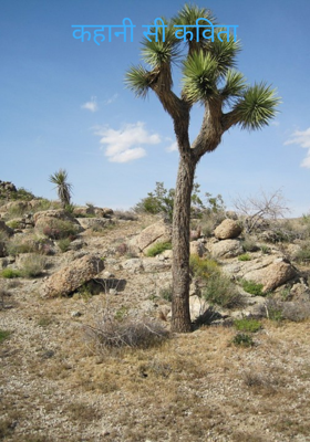 कहानी सी कविता