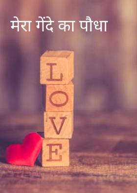 मेरा गेंदे का पौधा