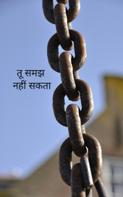 तू समझ नहीं सकता