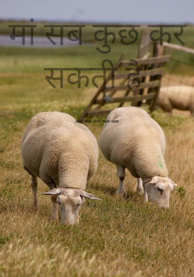 मां सब कुछ कर सकती है ‌-----