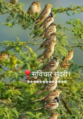 सुविचार सुंदरी