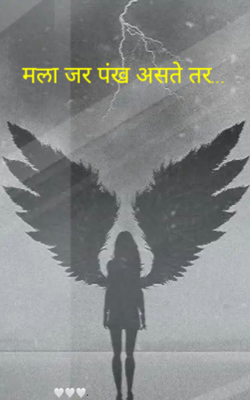 मला जर पंख असते तर...