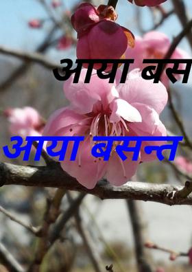 आया बसन्त