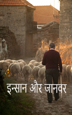 इन्सान और जानवर