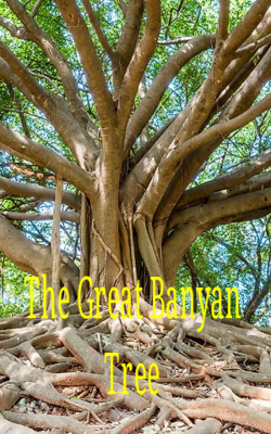 The Great Banyan Tree