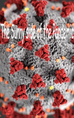 The Sunny Side Of The Pandemic