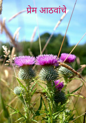 प्रेम आठवांचे