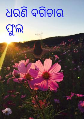 ଧରଣିବଗିଚାର ଫୁଲ