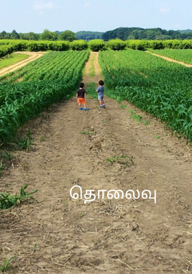 தொலைவு