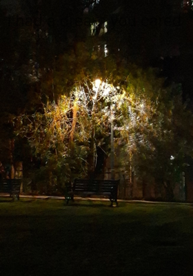 i had a dream you cared 